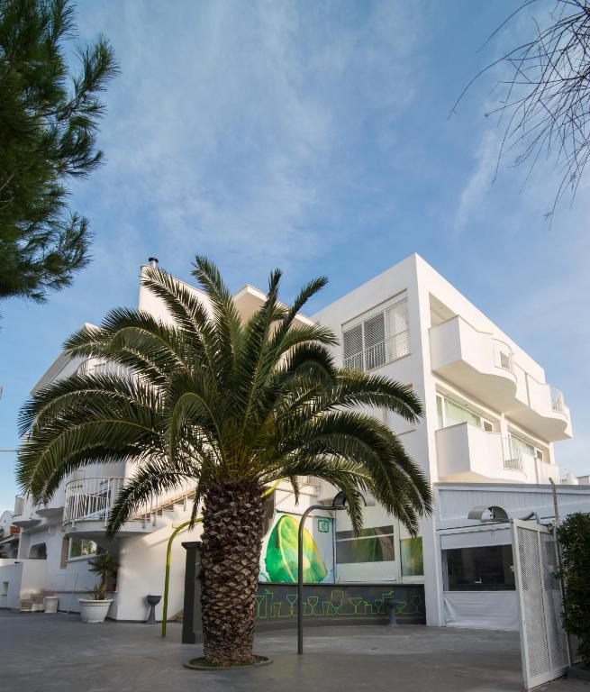 a palm tree in front of a building at Hotel Cicò in Torre Santa Sabina