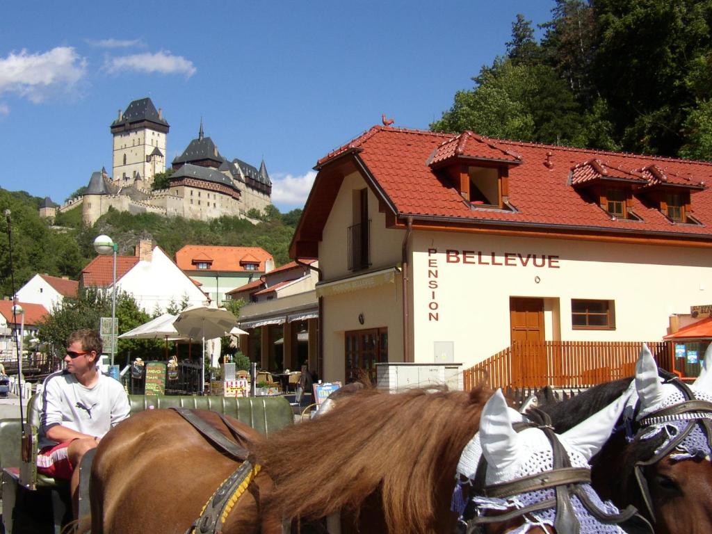 Jízda na koni v penzionu nebo okolí