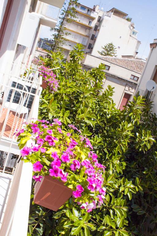 A garden outside B&B Miro Centro Catania