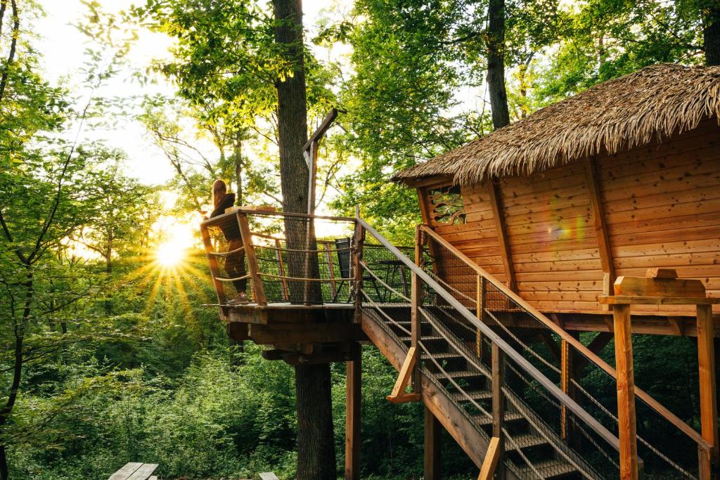 Příroda nedaleko luxury tent