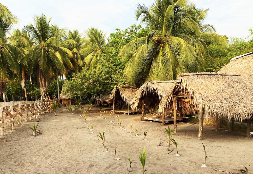 Fotografie z fotogalerie ubytování Proyecto Clandestino v destinaci Boca del cielo
