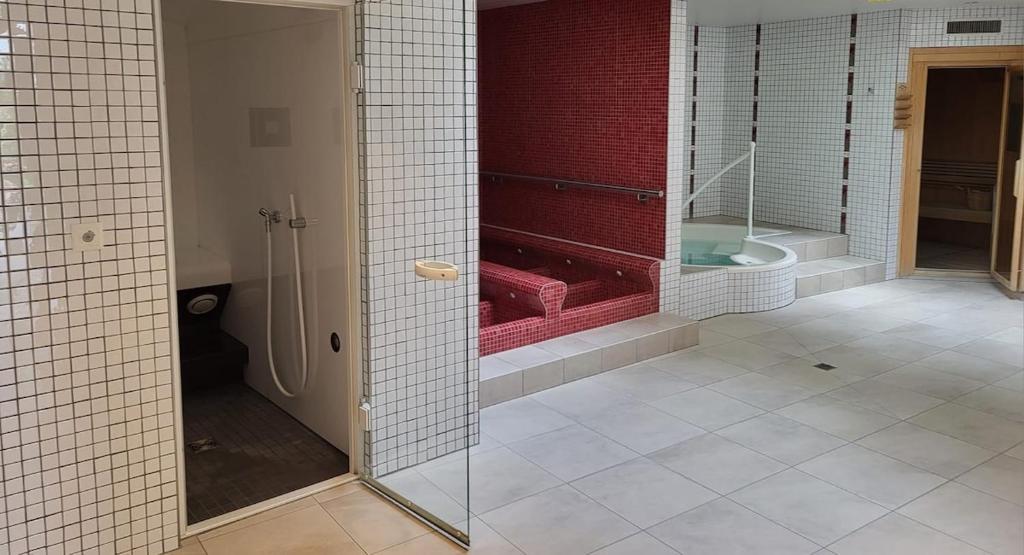 a bathroom with a shower and a toilet in it at Résidence au cœur du village in Leukerbad