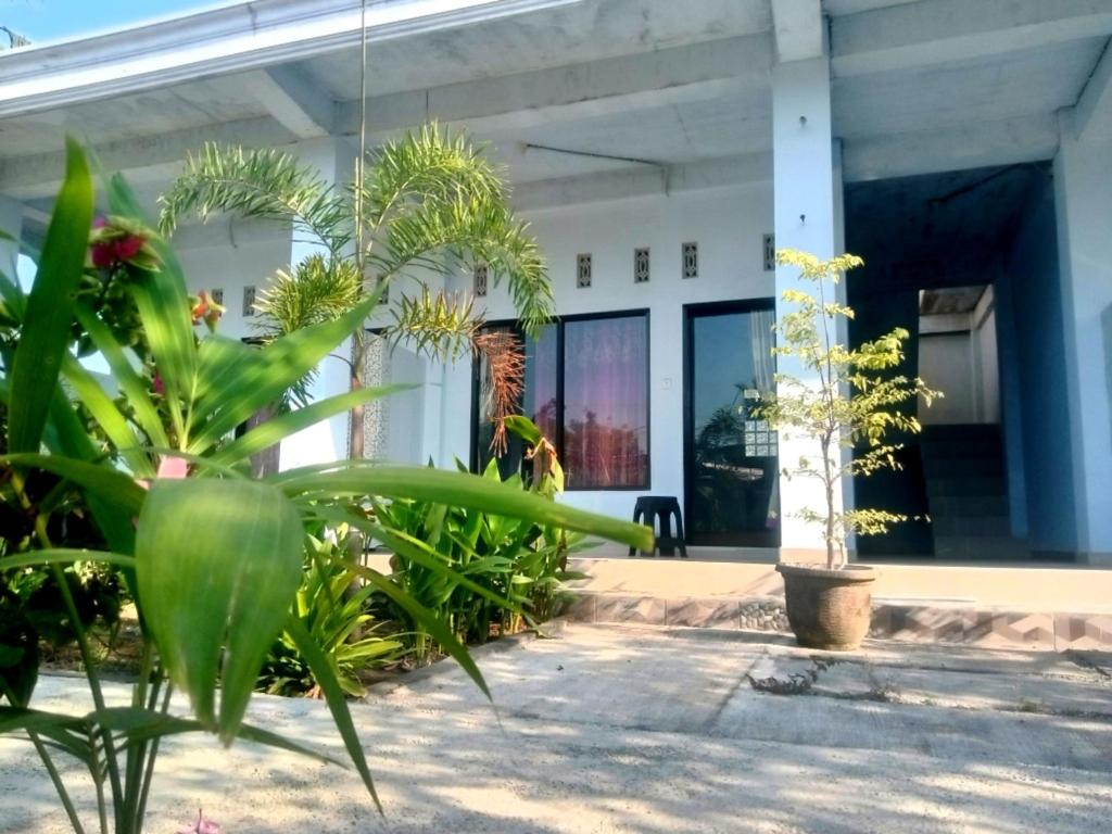 A garden outside NURBATA HOLDING'S Hostel