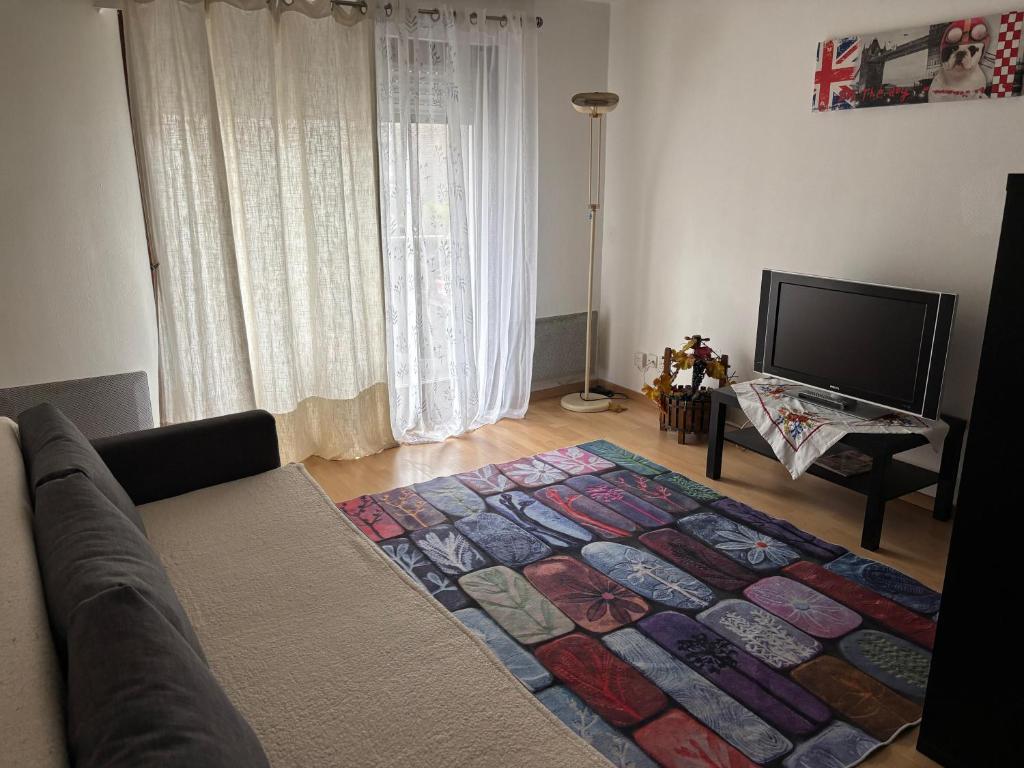 un salon avec un canapé et un tapis dans l'établissement Strasbourg - Studio agréable - Proche La Petite France, à Strasbourg