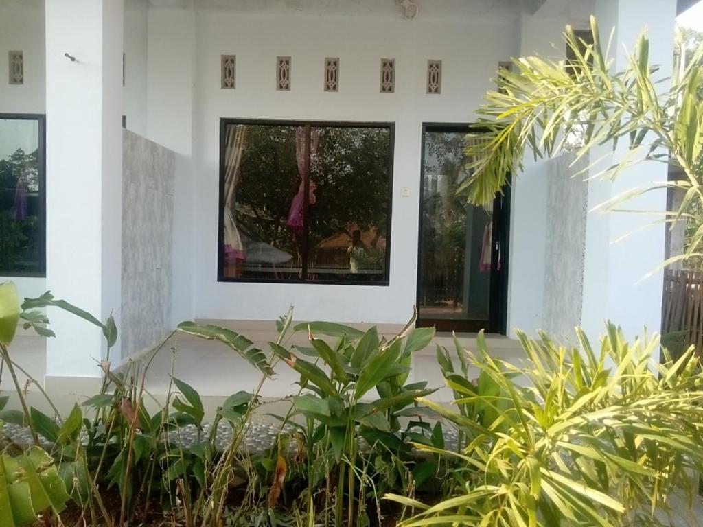 A garden outside NURBATA HOLDING'S Hostel