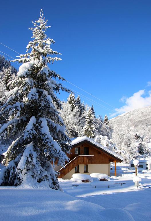 a snow covered tree in front of a cabin at Chalet Presanella in Temù