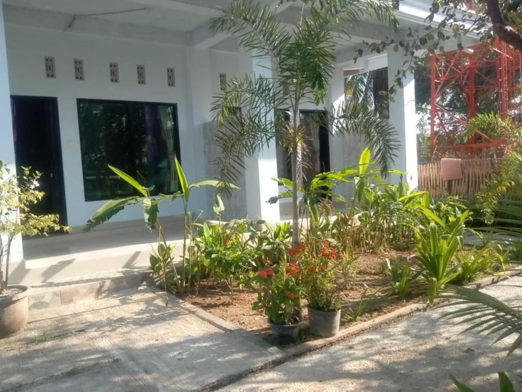 A garden outside NURBATA HOLDING'S Hostel