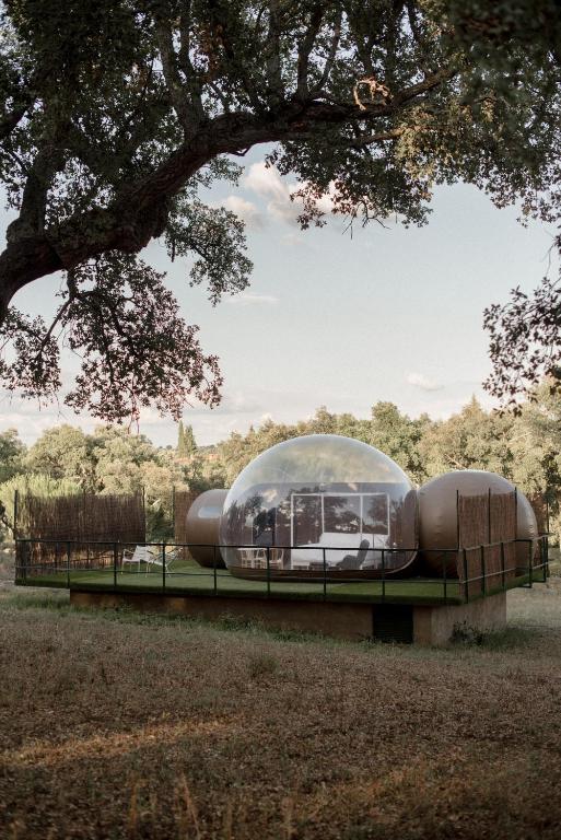 Finca El Cortiñal - imagen 3