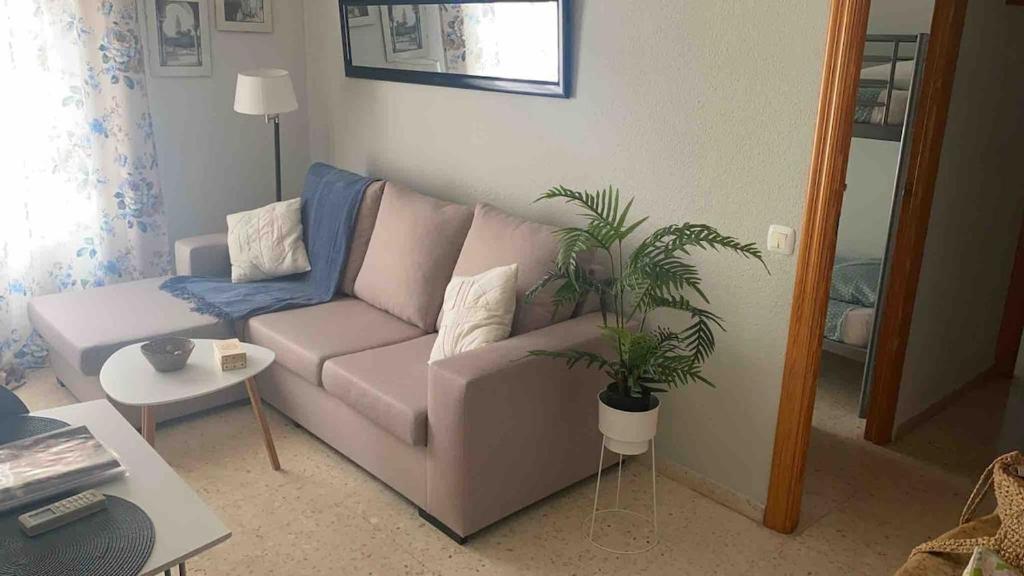 un salon avec un canapé et une plante en pot dans l'établissement Apartamento en Casco Histórico, à Cordoue
