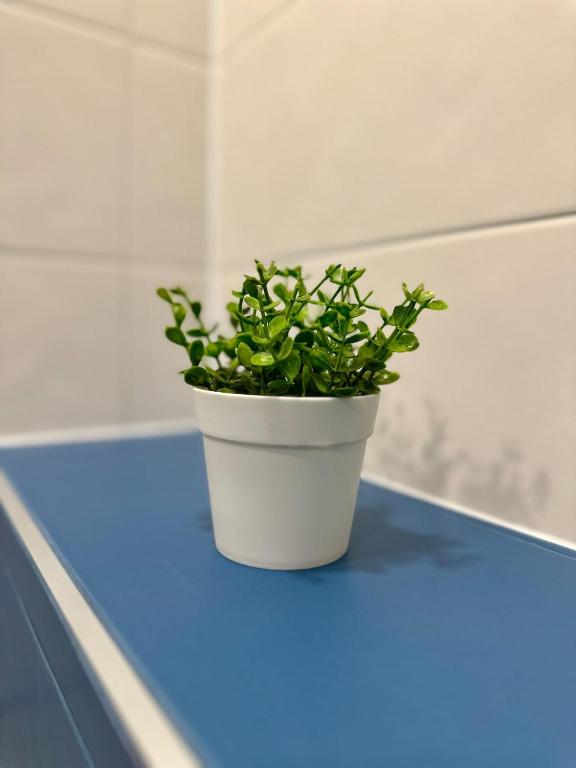 Fotografie z fotogalerie ubytování Noble Place v Sofii