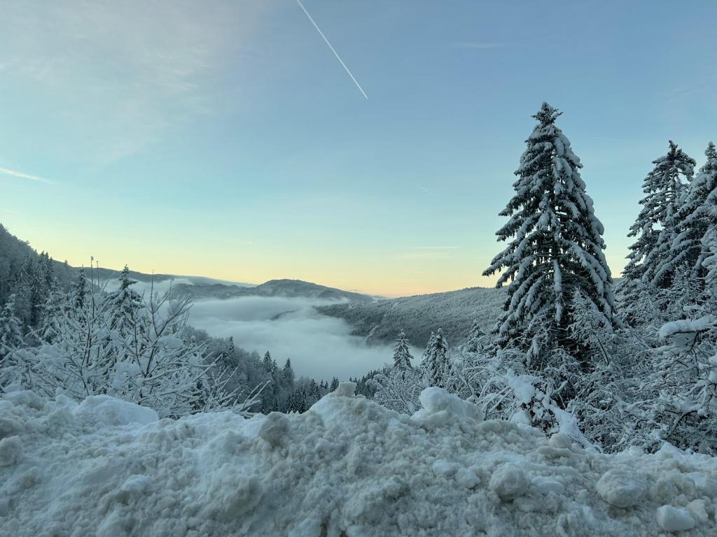 une montagne recouverte de neige avec des arbres et des nuages dans l'établissement Gîte Cinquetral, à Saint-Claude