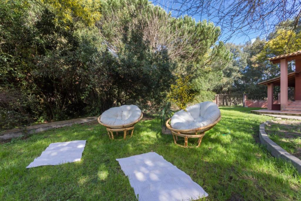 Agriturismo Le Mimose - Sala Regina Con Vista Da Giardino