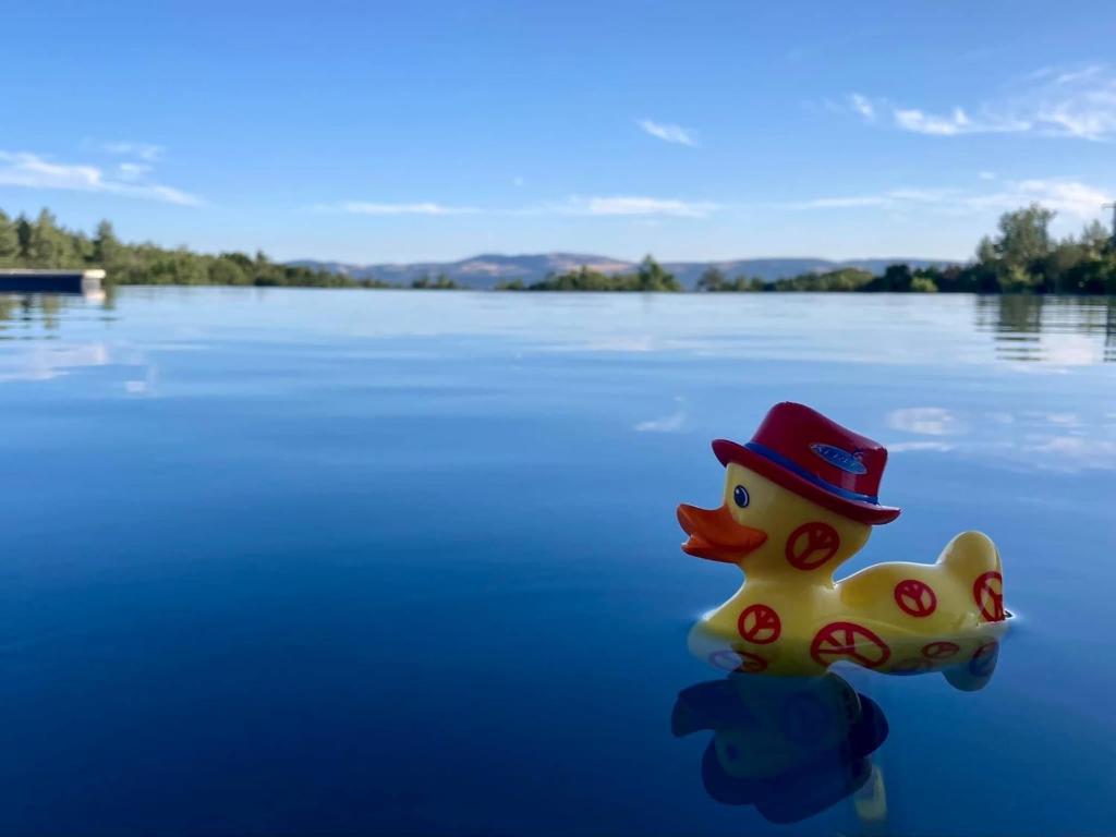 a rubber duck wearing a hat on a lake at La Grisonne - Chalet 3 in Revest-du-Bion