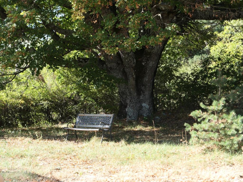 a park bench sitting under a tree in a field at La Grisonne - Chalet 3 in Revest-du-Bion
