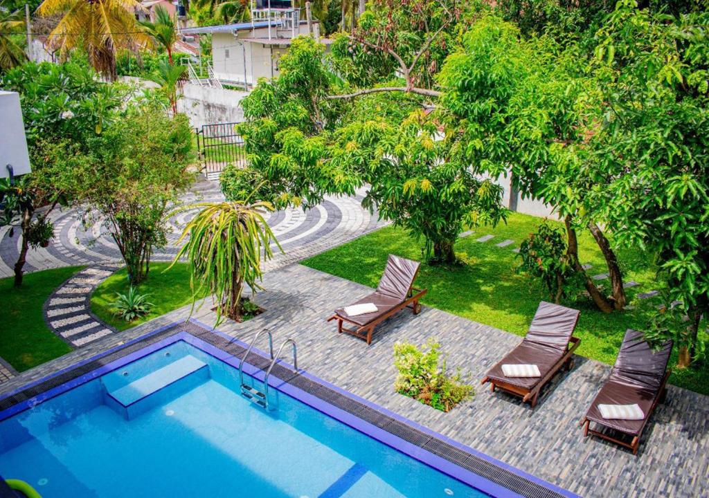 an overhead view of a swimming pool with chairs and trees at Loony Villa in Negombo