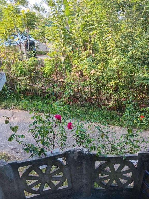 Zahrada ubytování Chameera guest house