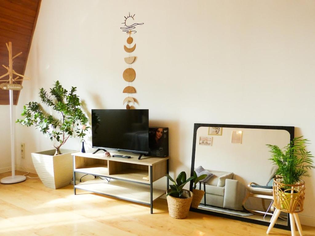 a living room with a tv and some plants at Stilvolles Apartment in Koblenz in Koblenz