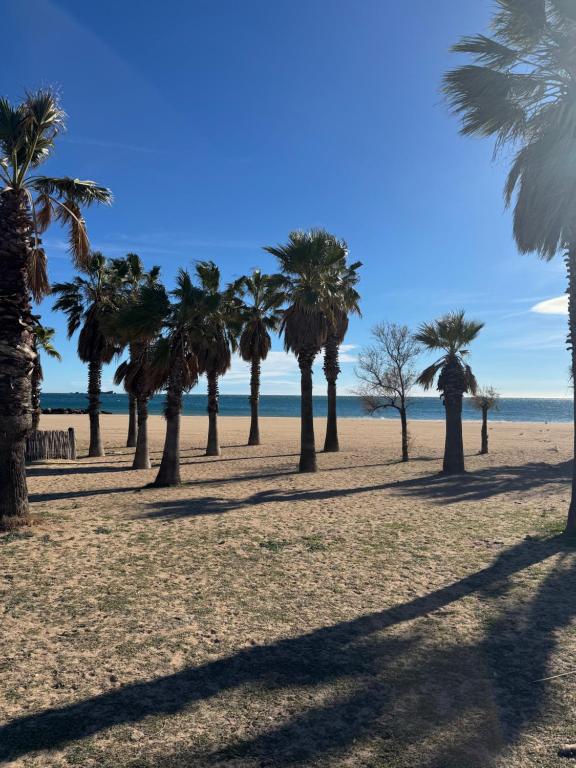 Naturlandskabet i nærheden af lejligheden
