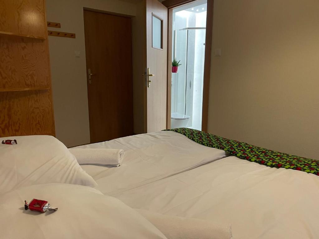 Sasanka przy Gondoli - 9