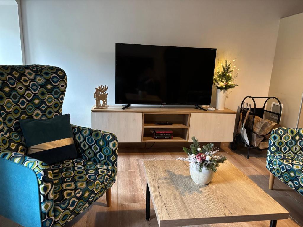 TV a/nebo společenská místnost v ubytování Apartmány Rosenberg