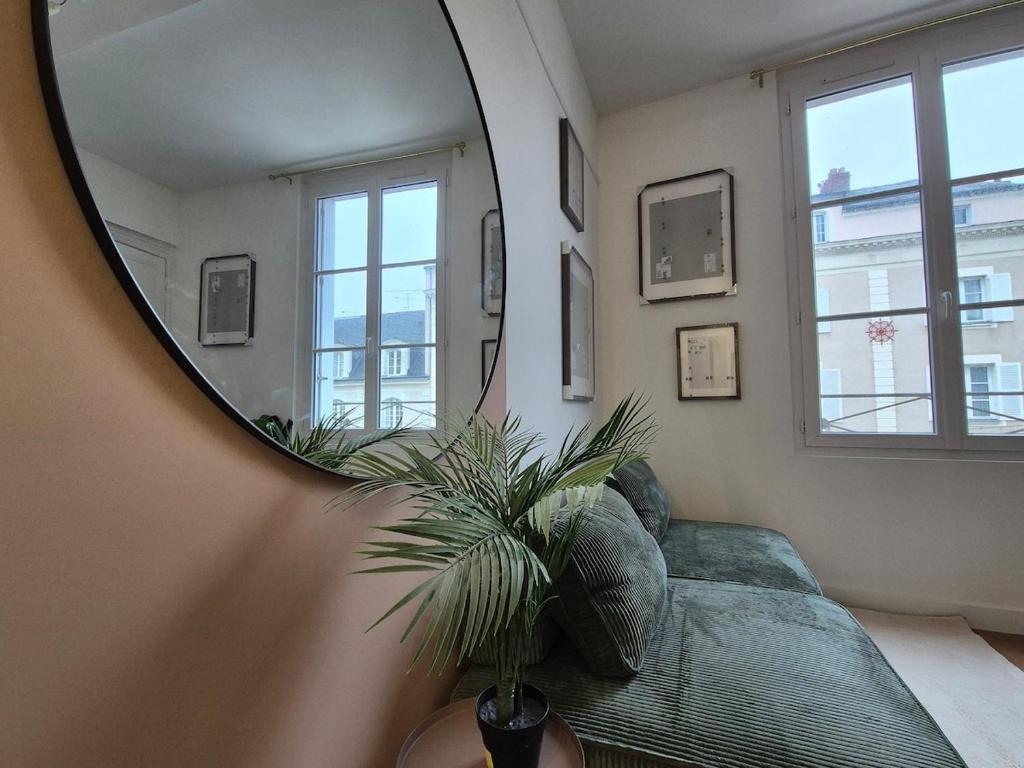 - un miroir dans une chambre avec un lit et une plante dans l'établissement Loft T2 - Hypercentre, à Angers