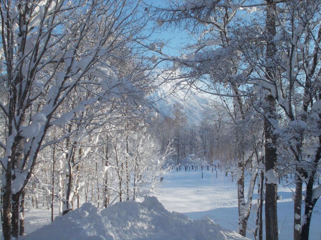 Niseko Shirokuma Cottage v zimě