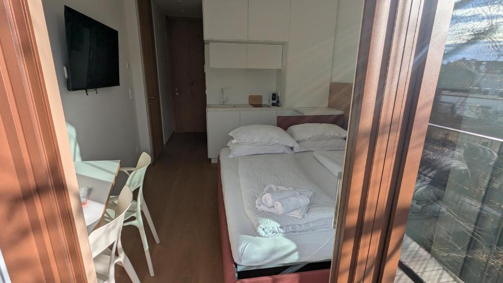 Wellness Smart Suites - 带阳台的一室公寓