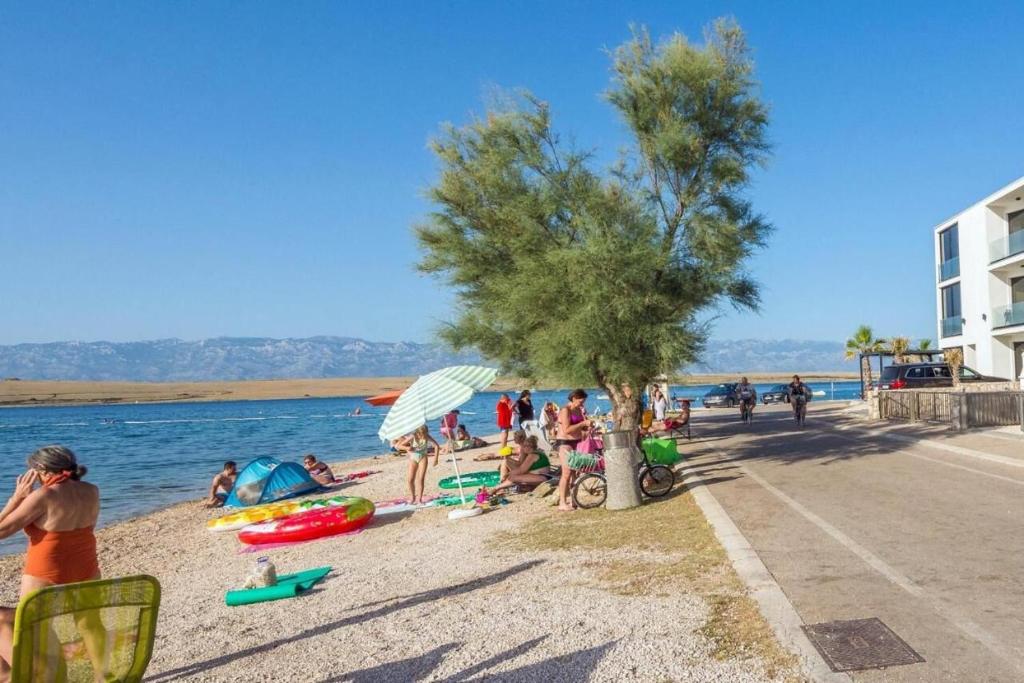 Príroda v okolí apartmánu