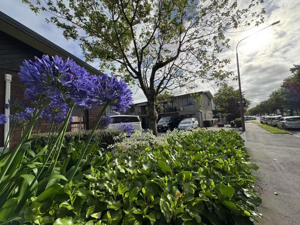 Abbey Motor Lodge - Resim 17