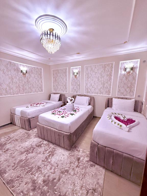 Miami Pyramids View - 2