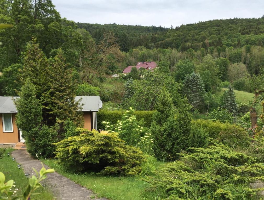 a house in the middle of a garden with trees at Kleines Haus am Wald in Benshausen