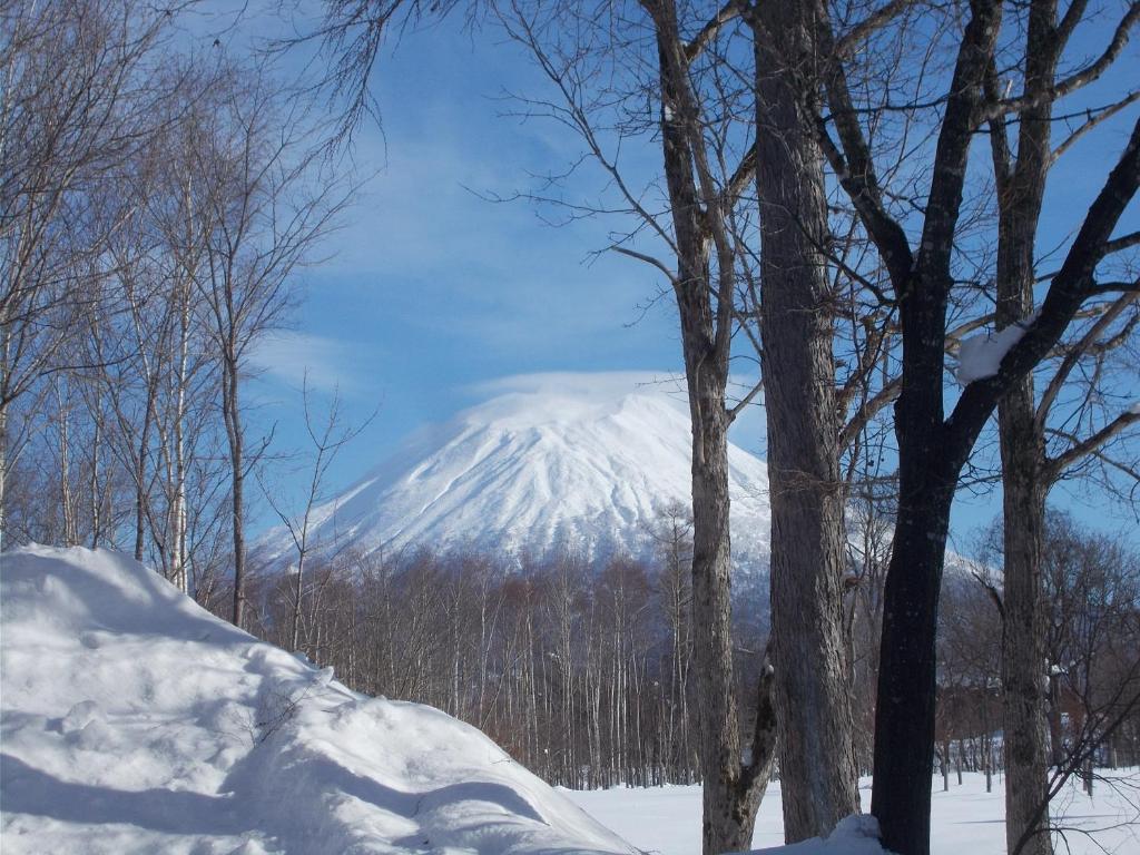 Niseko Shirokuma Cottage v zimě