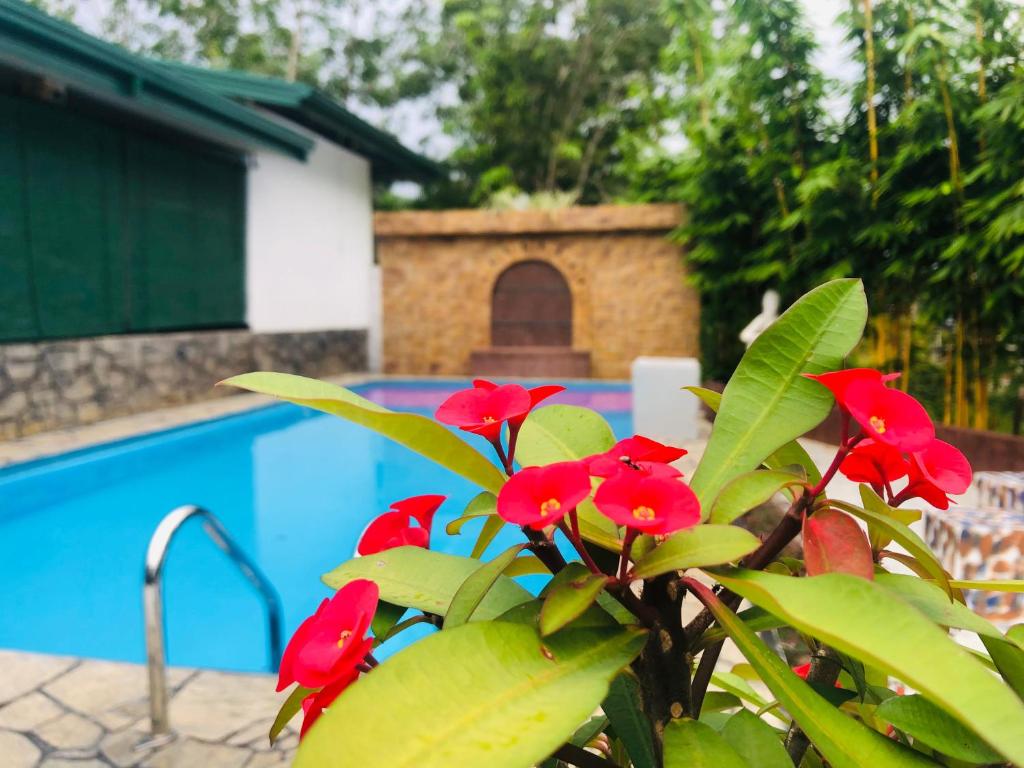 Bazén v ubytování Resolve Garden Hotel nebo v jeho okolí