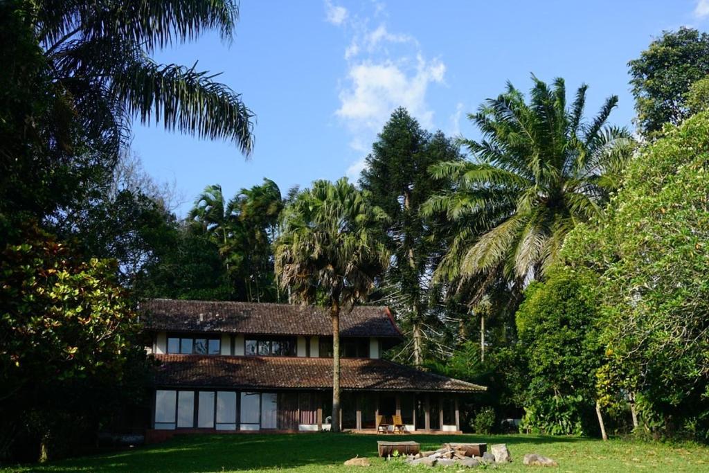 a house with palm trees in front of it at Temuku Pupuan Farmstay in Padangan