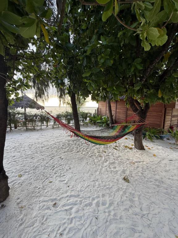 Fotografie z fotogalerie ubytování TIKI Beach Club & Resort v destinaci Paje