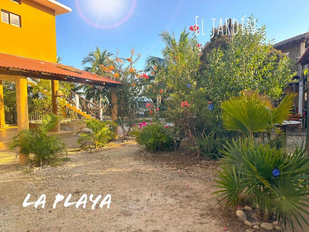 Κήπος έξω από το Hotel La Playa
