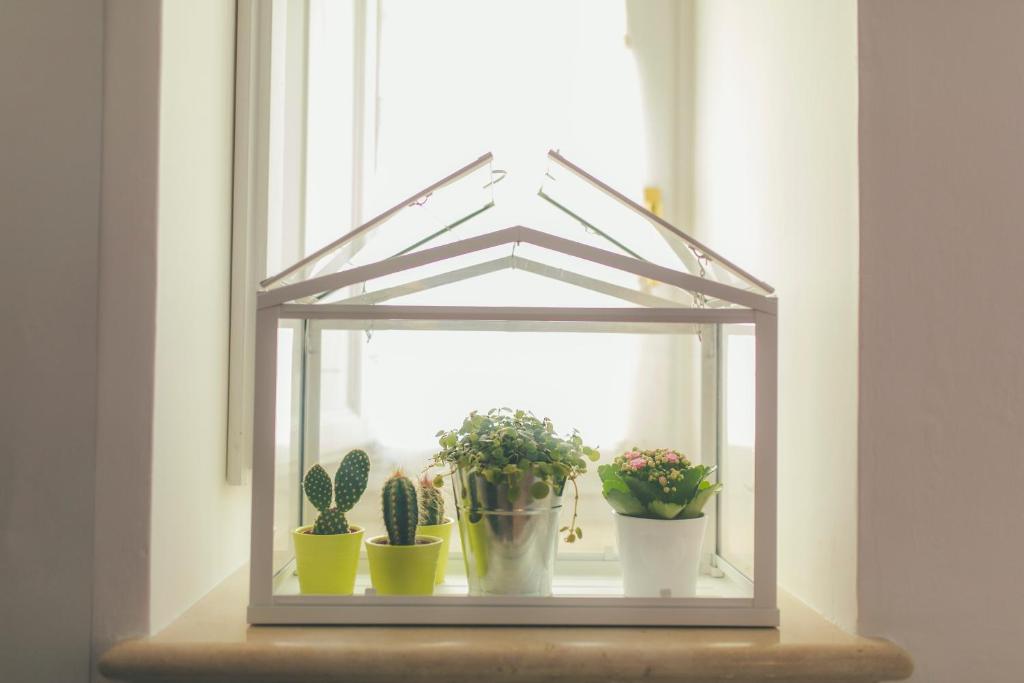 I Sassi Di Teopista - 10