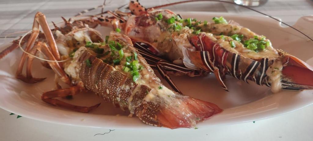 a plate of food with lobster and other foods at Tomorrowland Beach Villas in Tangalle