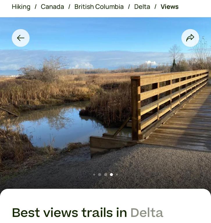 Delta Guest House photo