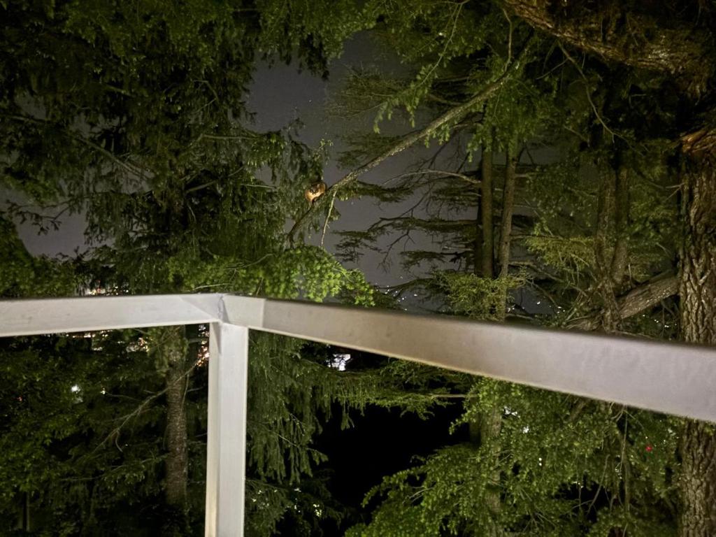 Příroda nedaleko hotelu