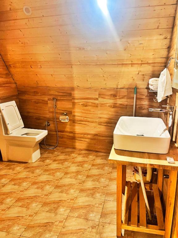 Koupelna v ubytování Winter Soul Cottages