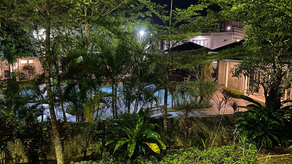 A garden outside Stylish home with amazing pool views