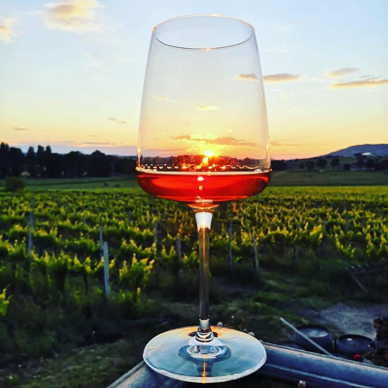 a glass of wine sitting on a table in front of a vineyard at Casale Rialto in Montefalco