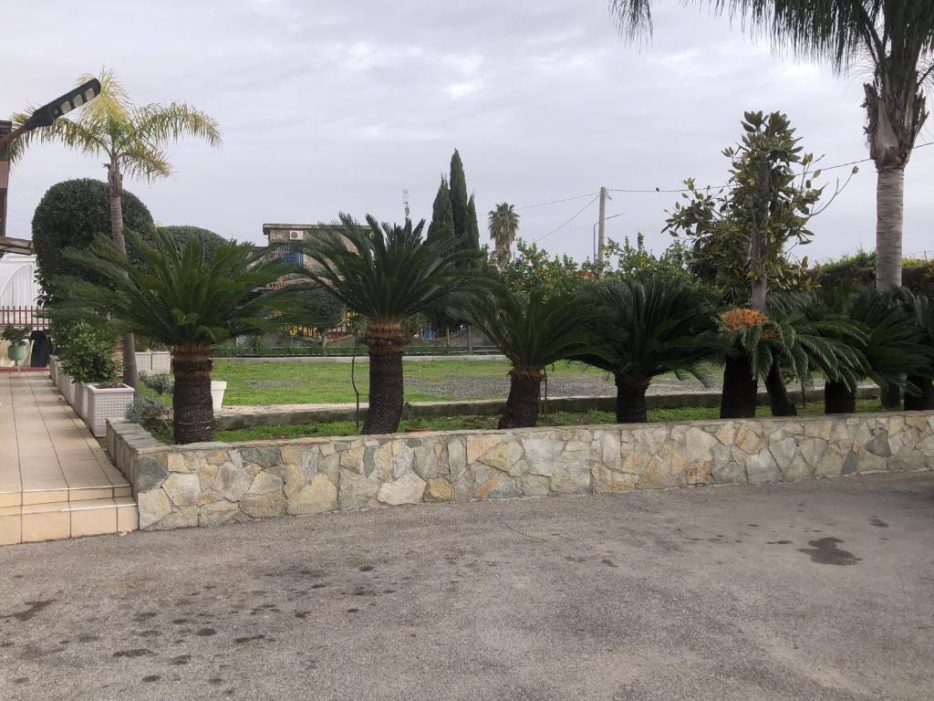 Hotel Serena - Resim 30