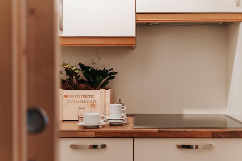 Kuchyň nebo kuchyňský kout v ubytování B&B Hotel Mirabel