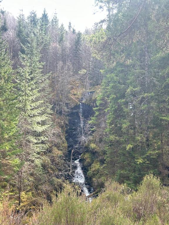 a view of a river in the middle of a forest at Aldernaig Mill in Invergarry
