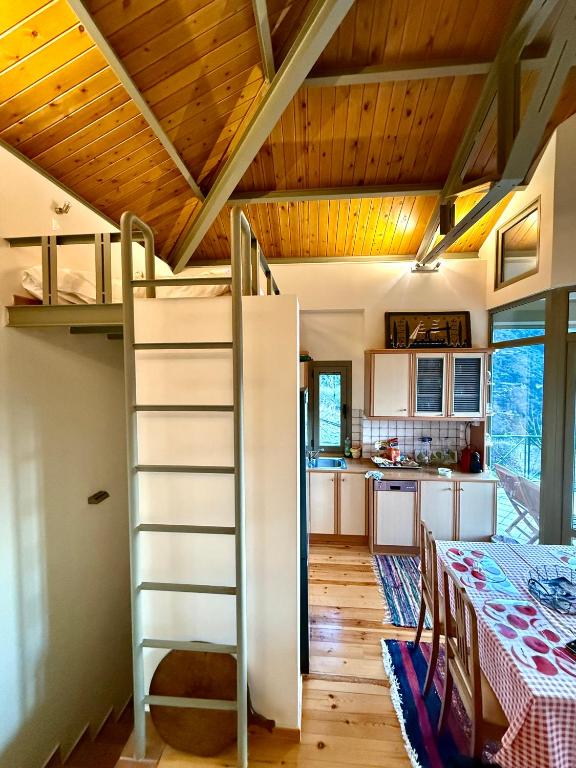 Kuchyňa alebo kuchynka v ubytovaní Kalavryta Villa Nano βίλα στο βουνό με τζάκι κοντά στο χιονοδρομικό