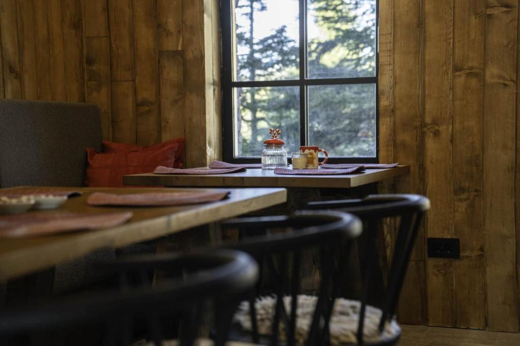 Fotografie z fotogalerie ubytování Chalet 1600 Kopaonik v destinaci Kopaonik