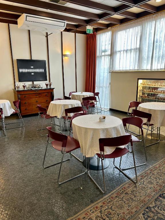 TV a/nebo společenská místnost v ubytování Hotel Napoleon