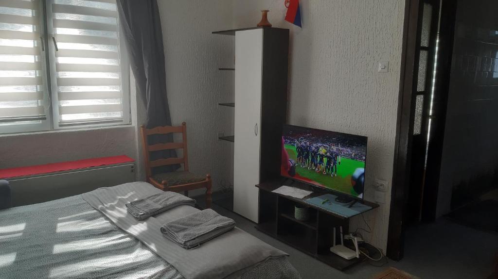 TV a/nebo společenská místnost v ubytování Despot